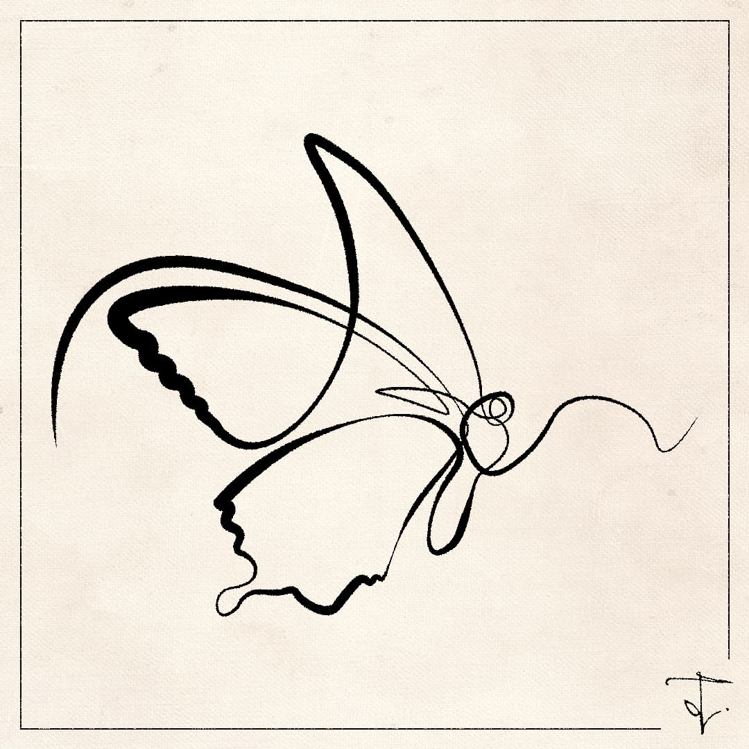 butterfly line art drawing one line