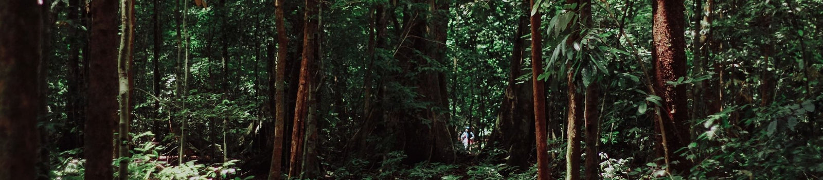 Reforestation | Those One Liners