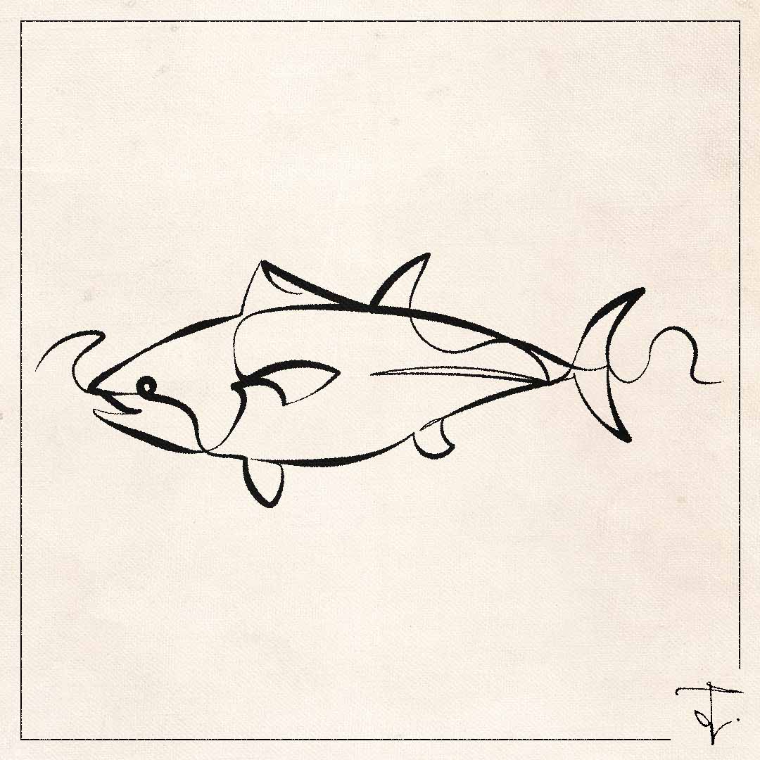 line art one line drawing lineart sketch fish