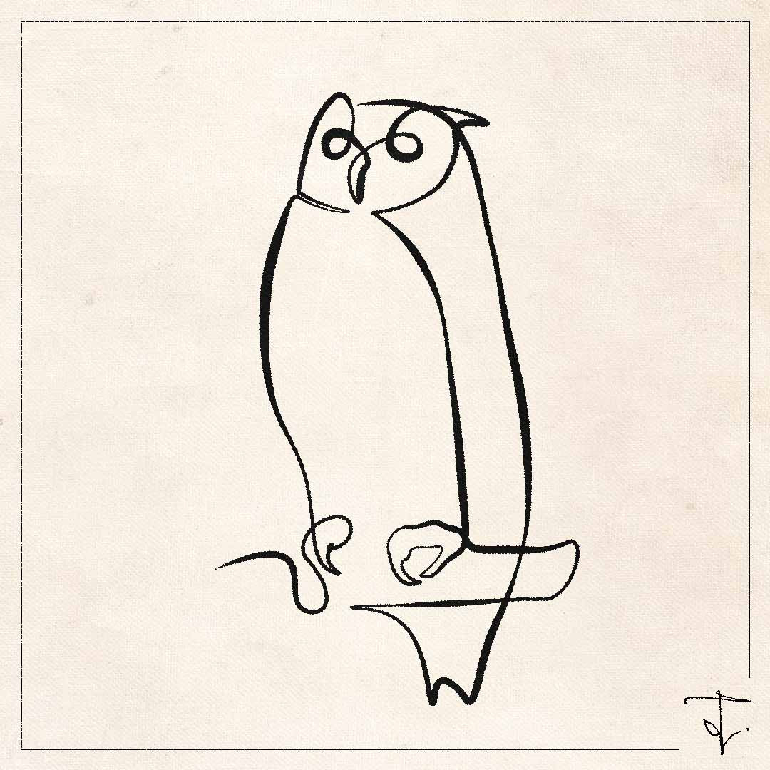 line art one line drawing lineart sketch owl