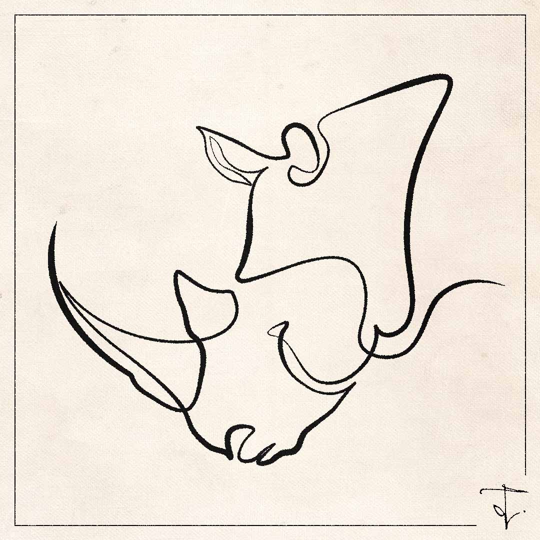 line art one line drawing lineart sketch rhino rhinoceros 