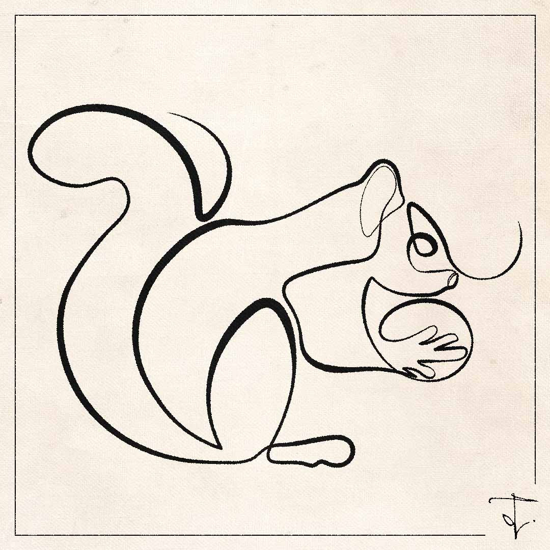 line art one line drawing lineart sketch squirrel