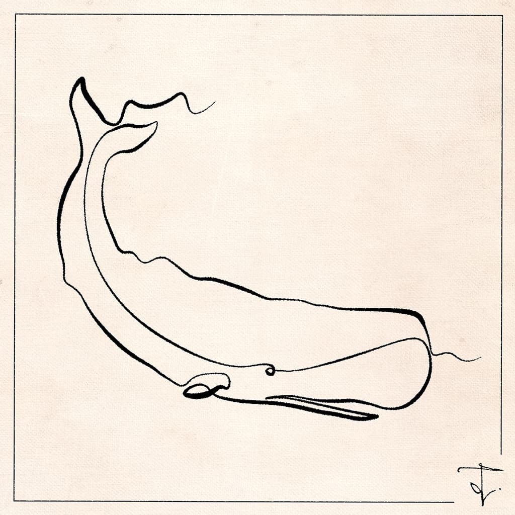 One line drawing of a sperm whale